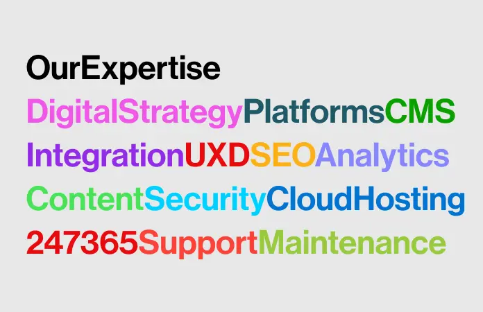 Our Expertise and Services